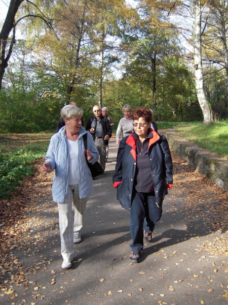 Letztes Bild erreicht